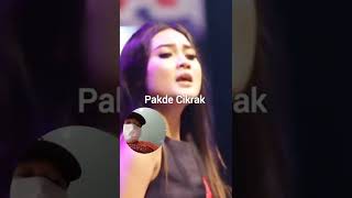 Download lagu Nella kharisma juragan empang #shorts mp3