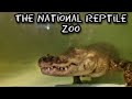 The National Reptile Zoo KikiJonesontour