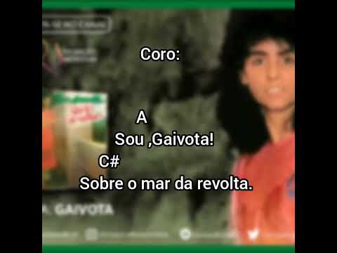 Gaivota - Shirley Carvalhaes