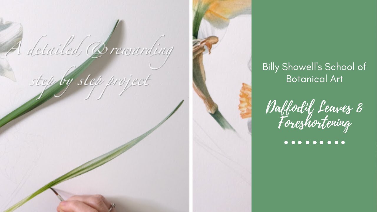 Daffodil Leaves & Foreshortening - Preview with Billy Showell ⎮Watercolour Beautiful
