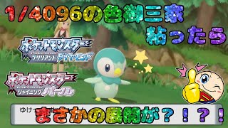 【ポケモンBDSP】1/4096の御三家色ポッチャマが開始10分で出ました【神回】