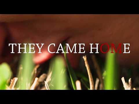 They Came Home - 2026 Short Film