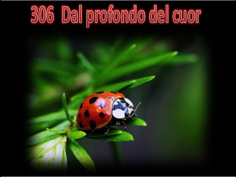 306 DAL PROFONDO DEL CUOR - KARAOKE