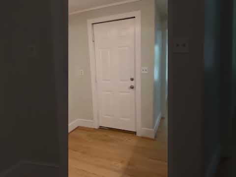 Multi Family Complex with 3 Newly Renovated Units on Tipp Hill - Video 2 of 2