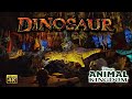 Dinosaur On Ride Low Light 4K POV Disney S Animal Kingdom Walt Disney World 2024 07 06