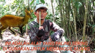 Download lagu MAKING A DEER CALLING DEVICE DIRECTLY IN THE FOREST mp3