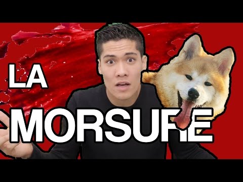 AZIATOMIK - LA MORSURE