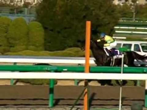 Japan Cup Dirt 2008 - Final corner