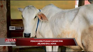 Penuhi Kebutuhan Vaksin PMK Jelang Idul Adha - Lensa Parlemen