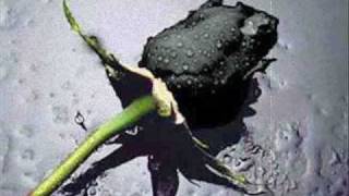 the saddest song i&#39;ve got