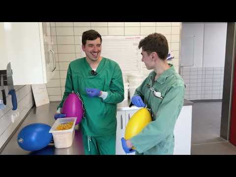 Ein Tag als Tierpfleger am Deutschen Primatenzentrum