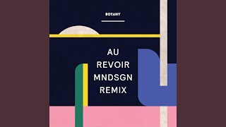 Au Revoir (Mndsgn Remix)