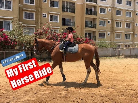 Nihit and Toys | My First Horse Ride | Kids Horse Riding Video