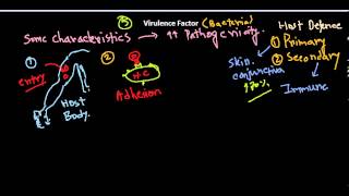 Virulence factors of bacteria