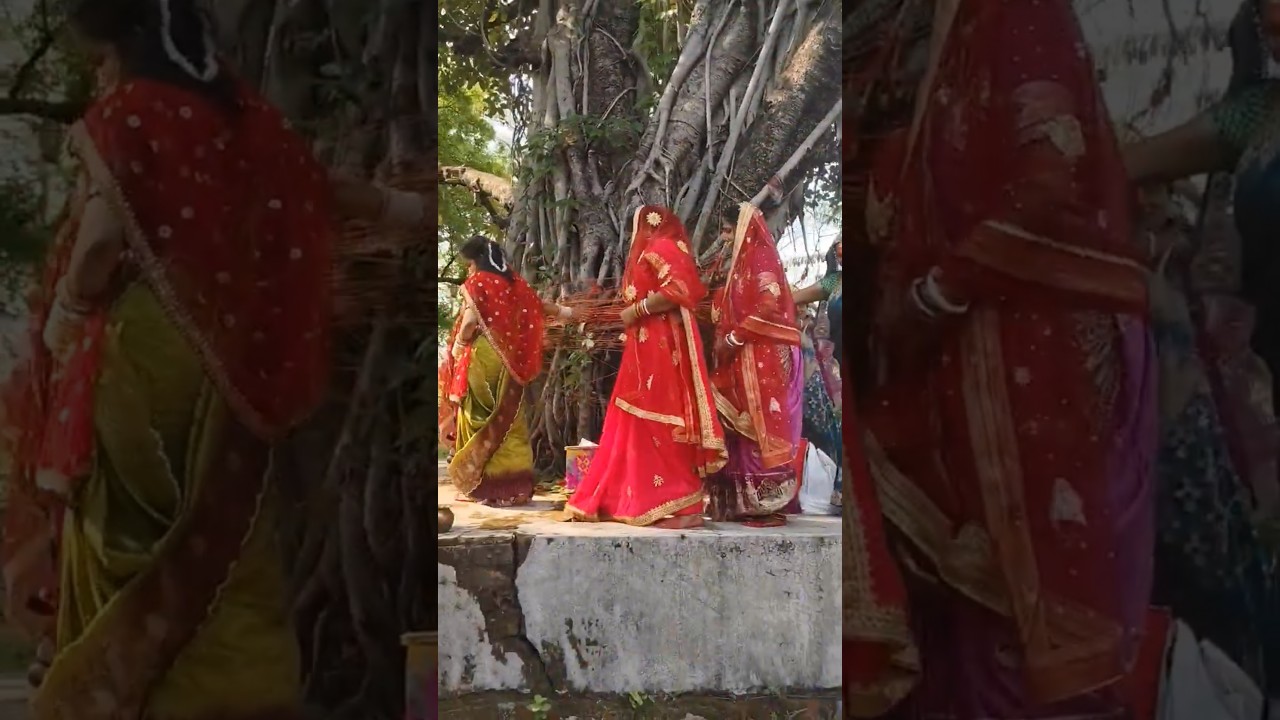 #patiparmeswarkeshiva♥️#vatsavitripuja#trending #video #viral #