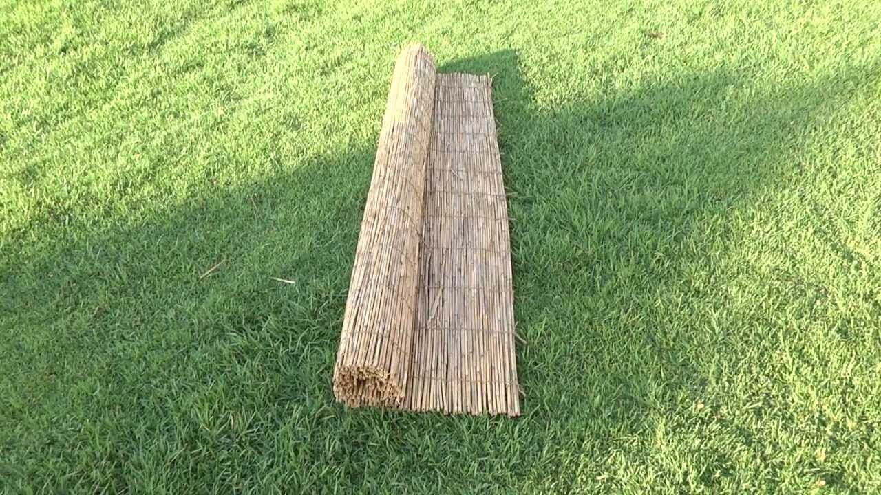 סכך הדר כשר לכתחילה - סכך קני סוף קשור ביוטה