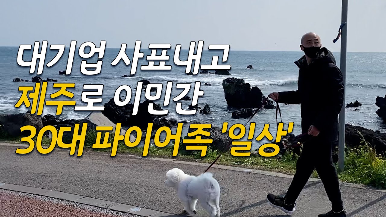 [싱글파이어] S전자·H카드 마다하고 파이어족 택한 30대의 '행복한 하루' 동행취재 (제이슨 EP.1)