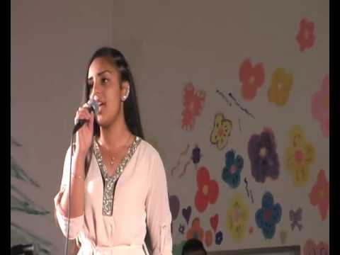 kamenica peta romska manifestacija 2