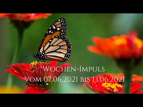 Wochen–Impuls vom 07.06.2021 bis 13.06.2021