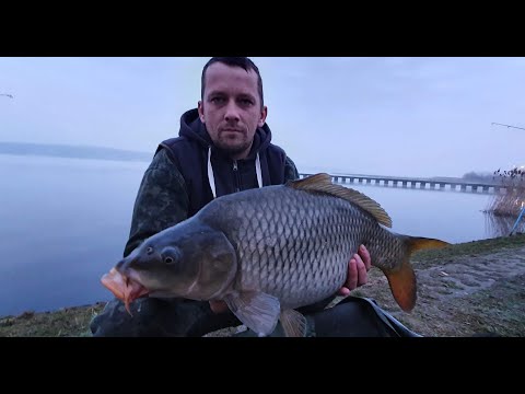 First big fish of 2021 Lake Rybnik