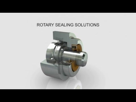 Rotary Sealing Solutions: Radial Oil Seals and V-Rings
