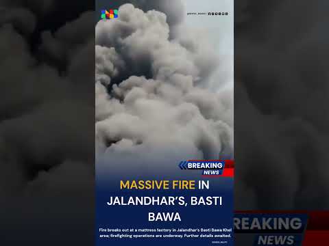 News4Bharat Short: Latest Video Update