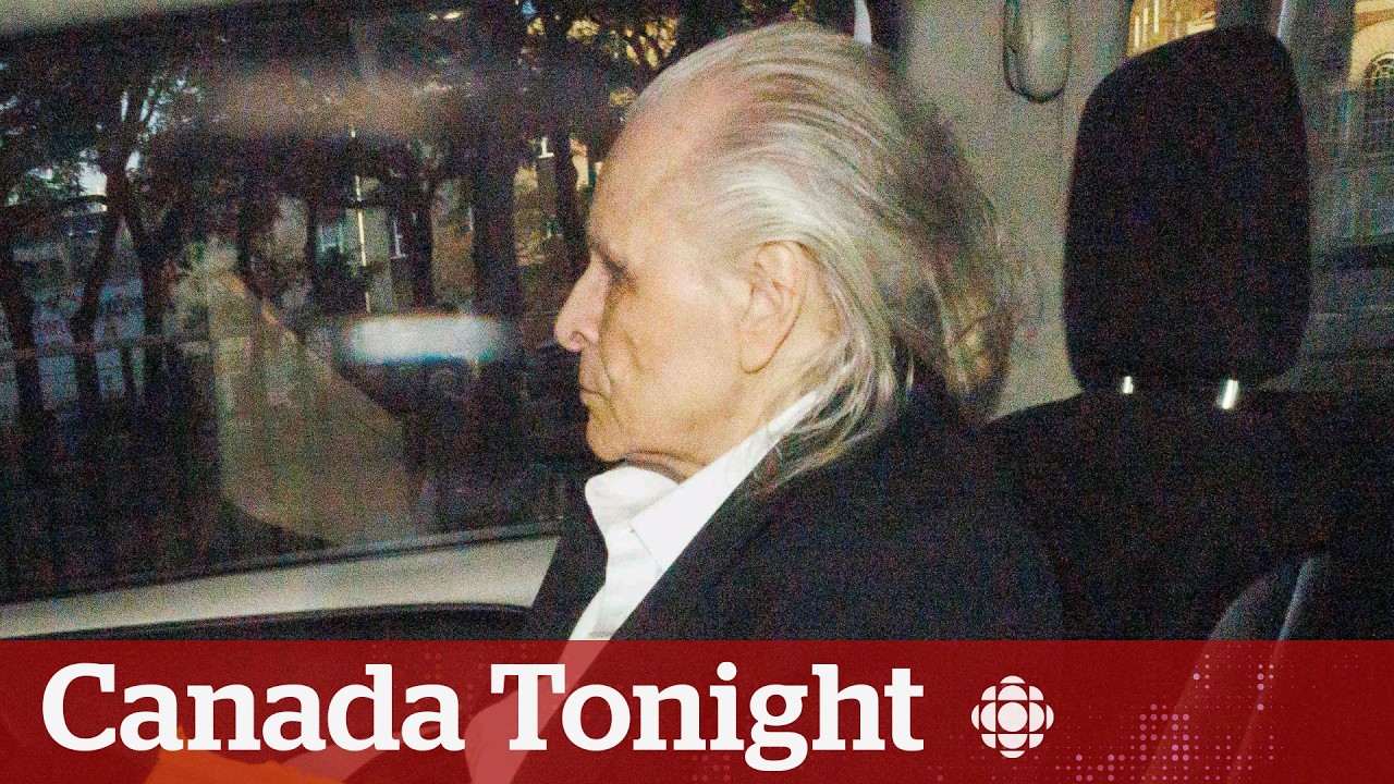 Convicted sexual predator Peter Nygard ‘abused’ the justice system, journalist says | Canada Tonight