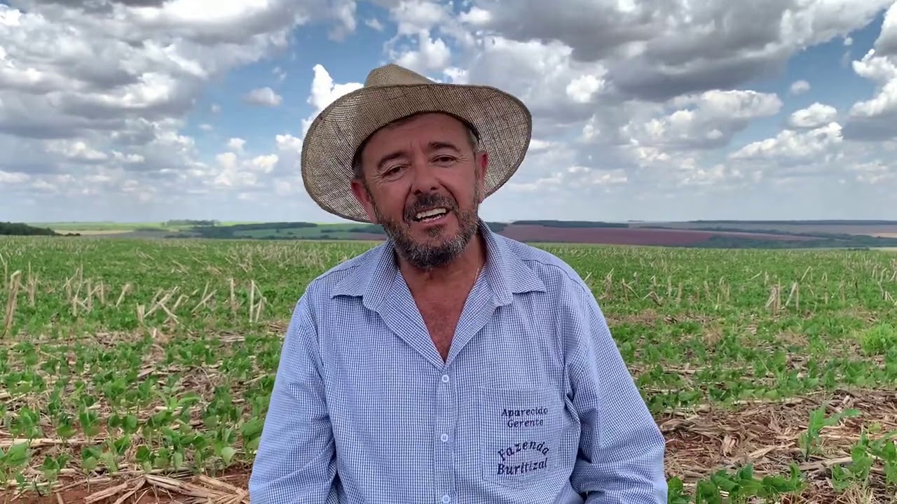 Aplicando herbicida em lavoura de feijão Marhé.