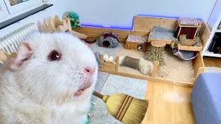 Guinea Pig Cage Cleaning Routine | DIY Guinea Pig Cage | Fleece & Bedding