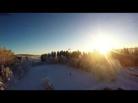 DJI F450 Test flight (17/01-16)