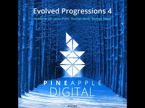 PD087 Roman Akrill feat. S. Ana - Passing Time [Pineapple Digital]