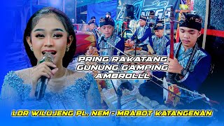 Download lagu Ldr Wilujeng Pl. Nem - Mrabot Katangenan - Jiwangga Music Sragen / ARS Jilid 4 - Aditjaya Pictures mp3
