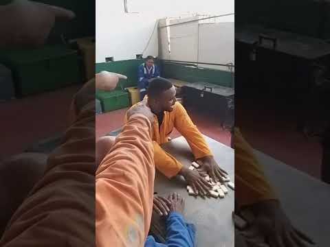 Domino Korsou / Curacao Skonde kabei - Feite - Mors kune - kite