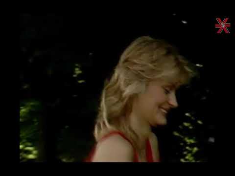 Michal David - Po cestách růžových
