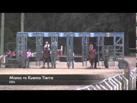 Carreras de Caballo El Quema Tierra vs El Mismo