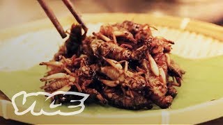 The Big Bug Eating Industry of China (Part 1)