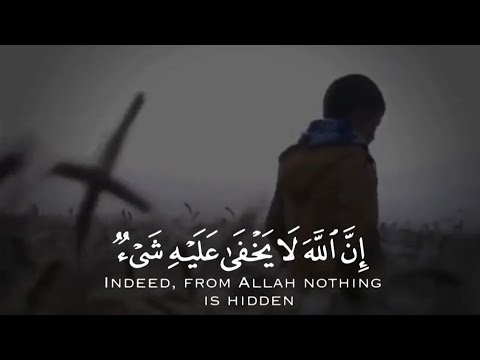 Mohamed123salah4’s Video 170350040152 x8M9jkW-_fQ