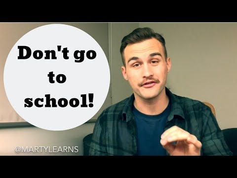 Going to school to learn a language vs the Marty Method | @Marty Learns