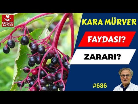 Dengeli Bir Kahvaltı