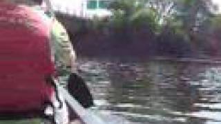 Love that Dirty Water