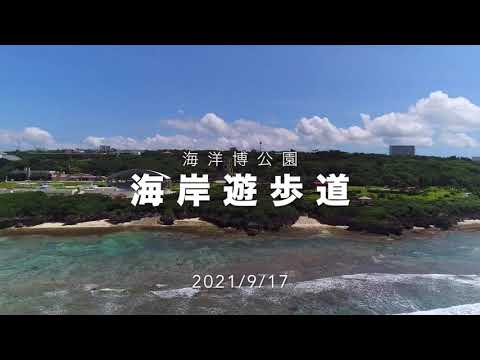 美ら空さんぽ～海岸遊歩道～