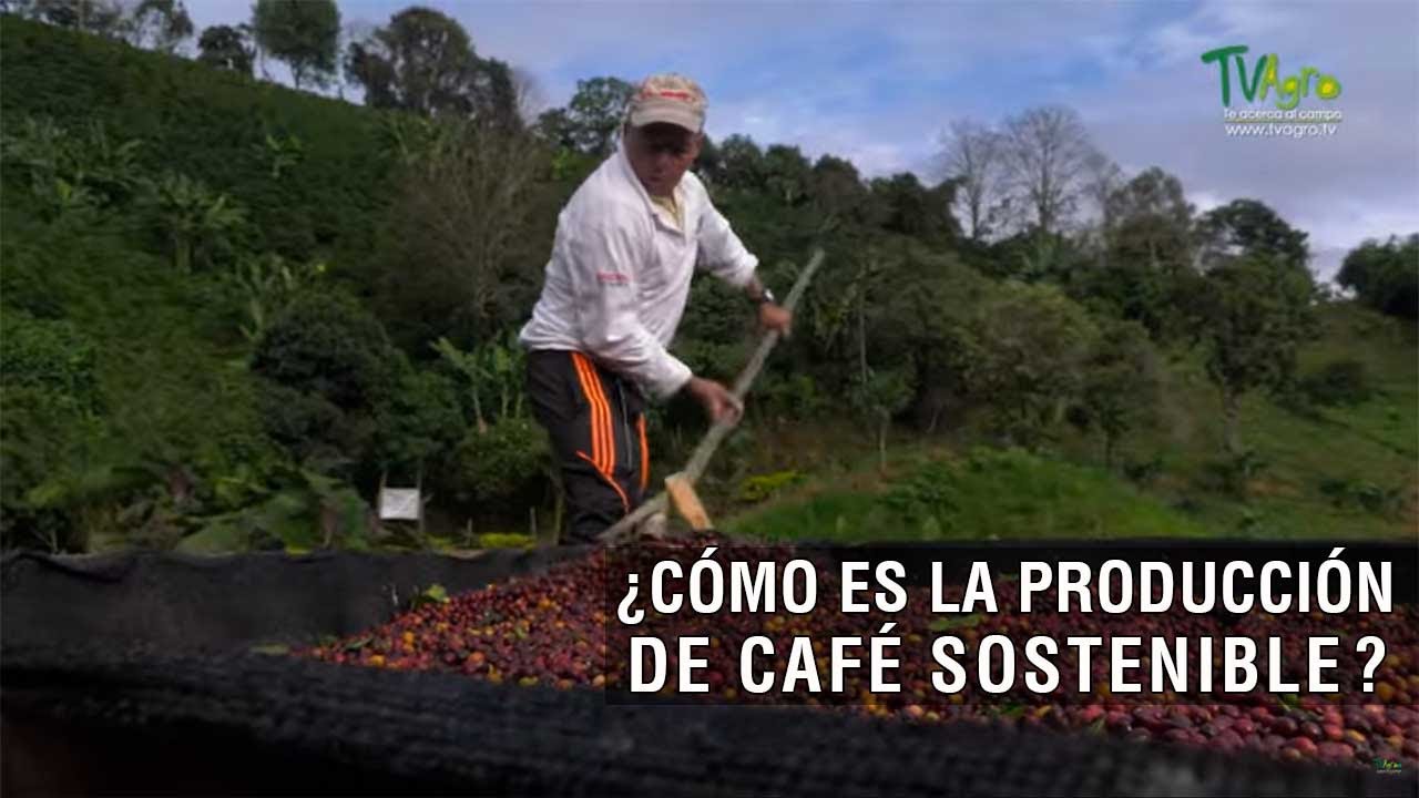 Cómo es la producción de café sostenible - TvAgro por Juan Gonzalo Angel Restrepo
