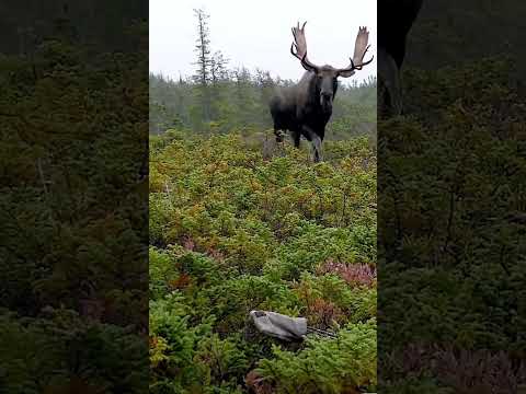 Sometimes you just don’t