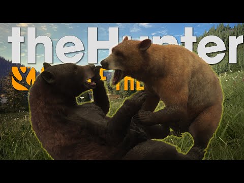 Great One Grind Surprise! Super Rare Brown Black Bear - theHunter: Call of the Wild