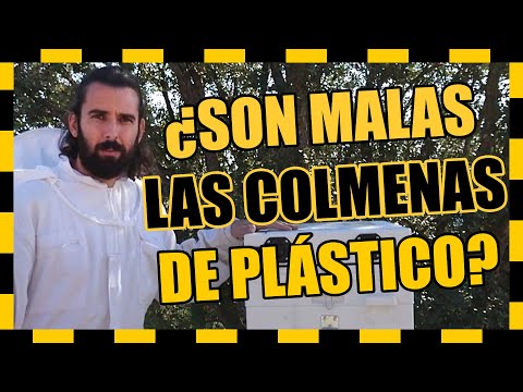❌ NO compres una COLMENA DE PLÁSTICO Anel sin ver este vídeo 📦👀  Abejas del Pino