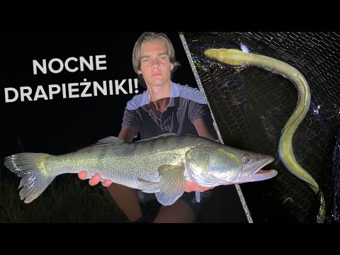 HUNT FOR NOCTURNAL PREDATORS! GUEST STARRING: BER GAR!