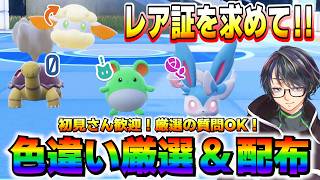 【色厳選】色厳選3,200時間以上やってますが質問かリクエストありますか？【ポケモンSV/ZA/アルセウス】