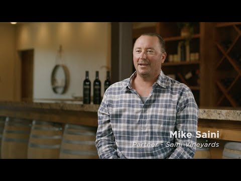 Behind the Barrel with Lipman Brothers: Saini Vineyards