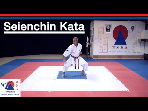 Seienchin Kata - Goju Ryu Karate