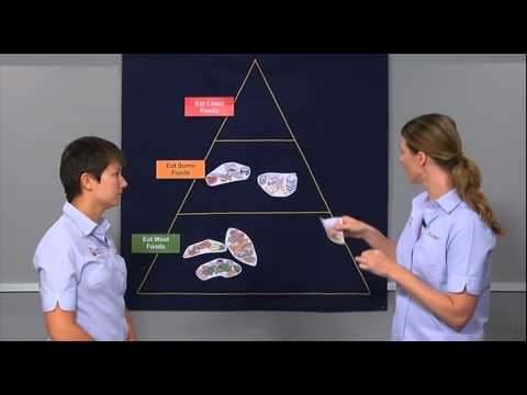 The 5 Food Groups for Health